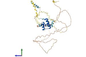 AlphaFold protein structure predicition of Mouse Recombinant En1 Protein, UniprotID P09065 (EN1 Protein (AA 1-401) (His tag))