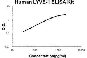 Human LYVE-1 Accusignal ELISA Kit Human LYVE-1 AccuSignal ELISA Kit standard curve.