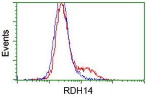 HEK293T cells transfected with either RC203411 overexpress plasmid (Red) or empty vector control plasmid (Blue) were immunostained by anti-RDH14 antibody (ABIN2454146), and then analyzed by flow cytometry. (RDH14 antibody)