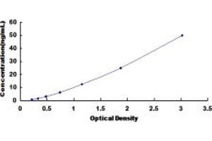 Typical standard curve (Adipsin ELISA Kit)