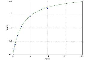 Dermatan Sulfate Epimerase (DSE) ELISA Kit