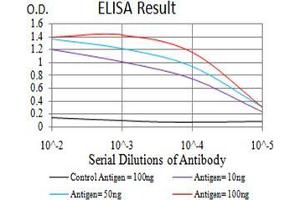 Black line: Control Antigen (100 ng);Purple line: Antigen (10ng); Blue line: Antigen (50 ng); Red line:Antigen (100 ng) (P2RX7 antibody  (AA 226-452))
