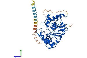 Protein Structure (PS) image for ST8 alpha-N-Acetyl-Neuraminide alpha-2,8-Sialyltransferase 2 (ST8SIA2) (AA 1-375) protein (His tag) (ABIN7562364)
