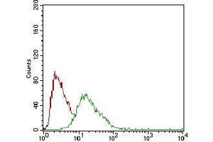 Flow cytometric analysis of HepG2 cells using SOX10 mouse mAb (green) and negative control (red). (SOX10 antibody  (AA 147-252))