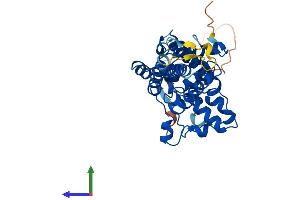 AlphaFold protein structure predicition of Mouse Recombinant Fa2h Protein, UniprotID Q5MPP0
