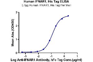 Immobilized Human IFNAR1, His Tag at 1 μg/mL (100 μL/Well) on the plate.