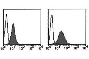 Flow Cytometry (FACS) image for anti-Integrin beta 1 (ITGB1) antibody (PE) (ABIN1106236) (ITGB1 antibody  (PE))