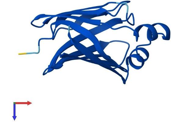 RBP7 Protein (AA 1-134) (His tag)