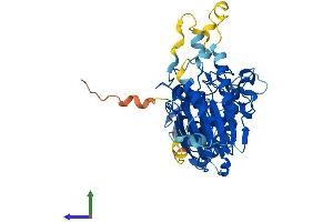 AlphaFold protein structure predicition of Human Recombinant POLD2 Protein, UniprotID P49005