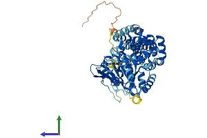 Protein Structure (PS) image for EH-Domain Containing 4 (EHD4) (AA 1-541) protein (His tag) (ABIN7561406)