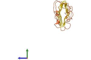 AlphaFold protein structure predicition of Human Recombinant KRTAP5-10 Protein, UniprotID Q6L8G5