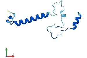 AlphaFold protein structure predicition of Human Recombinant NMES1 Protein, UniprotID Q9C002