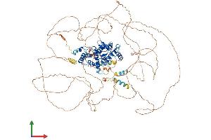 AlphaFold protein structure predicition of Mouse Recombinant Arhgap11a Protein, UniprotID Q80Y19 (ARHGAP11A Protein (AA 1-987) (His tag))