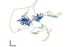 AlphaFold protein structure predicition of Mouse Recombinant Rela Protein, UniprotID Q04207 (NF-kB p65 Protein (AA 1-549) (His tag))