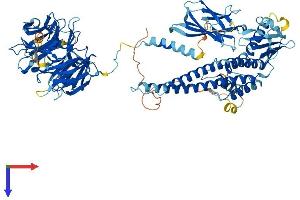 BBS9 Protein (AA 1-885) (His tag)