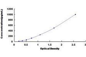Netrin 1 (NTN1) ELISA Kit