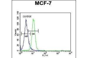 PSG7 Antibody (C-term) (ABIN651132 and ABIN2840089) flow cytometric analysis of MCF-7 cells (right histogram) compared to a negative control cell (left histogram). (PSG7 antibody  (C-Term))