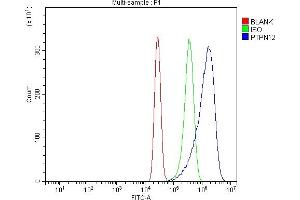 Flow Cytometry analysis of K562 cells using anti-PTPN12 antibody (ABIN7601051).