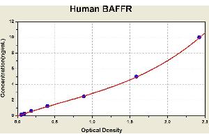 Diagramm of the ELISA kit to detect Human BAFFRwith the optical density on the x-axis and the concentration on the y-axis. (TNFRSF13C ELISA Kit)