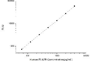 Typical standard curve (ELA2B CLIA Kit)