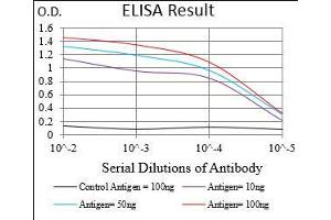 Black line: Control Antigen (100 ng), Purple line: Antigen(10 ng), Blue line: Antigen (50 ng), Red line: Antigen (100 ng), (EIF2A antibody  (AA 448-576))