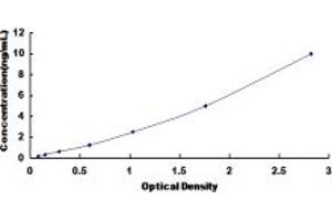 Typical standard curve (MAT2A ELISA Kit)