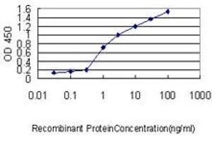 Detection limit for recombinant GST tagged DSU is approximately 0. (MREG antibody  (AA 1-214))