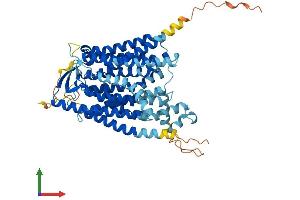 AlphaFold protein structure predicition of Mouse Recombinant Slc15a4 Protein, UniprotID Q91W98 (SLC15A4 Protein (AA 1-574) (His tag))