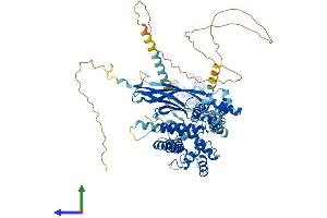 AlphaFold protein structure predicition of Mouse Recombinant Sec63 Protein, UniprotID Q8VHE0