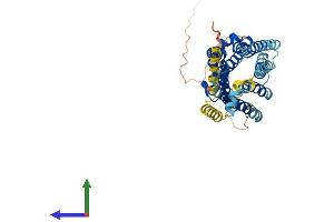 AlphaFold protein structure predicition of Mouse Recombinant Oprm1 Protein, UniprotID P42866 (Mu Opioid Receptor 1 Protein (AA 1-398) (His tag))