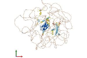 AlphaFold protein structure predicition of Mouse Recombinant Cep170 Protein, UniprotID Q6A065