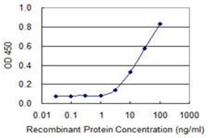 Detection limit for recombinant GST tagged GNAQ is 1 ng/ml as a capture antibody. (GNAQ antibody  (AA 101-200))