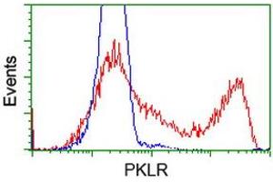 HEK293T cells transfected with either RC206455 overexpress plasmid (Red) or empty vector control plasmid (Blue) were immunostained by anti-PKLR antibody (ABIN2453474), and then analyzed by flow cytometry. (PKLR antibody)