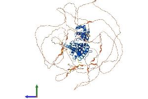 AlphaFold protein structure predicition of Mouse Recombinant Gnas Protein, UniprotID Q6R0H7