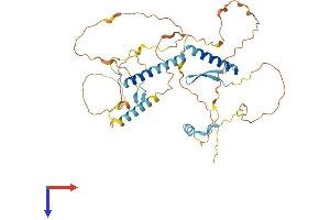 Keratinocyte Differentiation Factor 1 (KDF1) (AA 1-397) protein (His tag)
