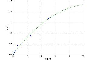Metastasis Associated in Colon Cancer 1 (MACC1) ELISA Kit