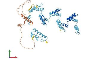 AlphaFold protein structure predicition of Human Recombinant ZNF730 Protein, UniprotID Q6ZMV8 (ZNF730 Protein (AA 1-503) (His tag))