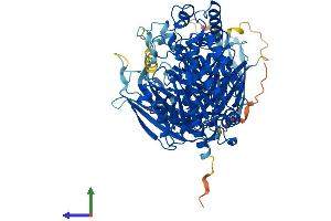 AlphaFold protein structure predicition of Human Recombinant PLA2G4D Protein, UniprotID Q86XP0 (PLA2G4D Protein (AA 1-818) (His tag))