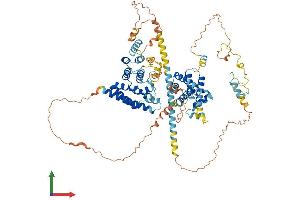 AlphaFold protein structure predicition of Mouse Recombinant Las1l Protein, UniprotID A2BE28