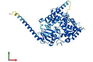 AlphaFold protein structure predicition of Mouse Recombinant Cyp4x1 Protein, UniprotID Q6A152 (CYP4X1 Protein (AA 1-507) (His tag))