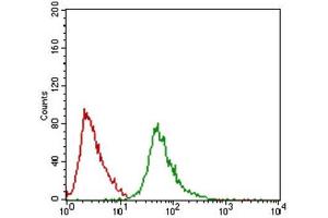 Flow Cytometry (FACS) image for anti-Ring Finger Protein 1 (RING1) (AA 79-263) antibody (ABIN1845880) (RING1 antibody  (AA 79-263))