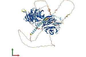 Protein Structure (PS) image for Echinoderm Microtubule Associated Protein Like 4 (EML4) (AA 1-988) protein (His tag) (ABIN7563736)