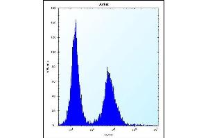 DNAJC9 Antibody (N-term) (ABIN656862 and ABIN2846067) flow cytometric analysis of Jurkat cells (right histogram) compared to a negative control cell (left histogram). (DNAJC9 antibody  (N-Term))