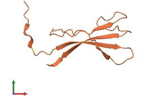 AlphaFold protein structure predicition of Human Recombinant DSCR10 Protein, UniprotID P59022 (DSCR10 Protein (AA 1-87) (Fc Tag))