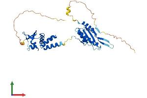 AlphaFold protein structure predicition of Human Recombinant KCTD13 Protein, UniprotID Q8WZ19