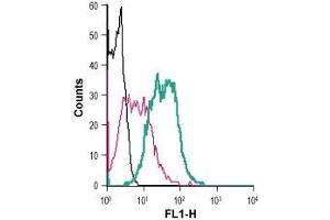 Cell surface detection of P2RY2 in live intact mouse J774 macrophage cells: (black line) Cells. (P2Y2 Receptor antibody  (C-Term, Extracellular))