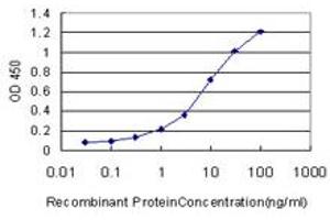 Detection limit for recombinant GST tagged TCF7 is approximately 0. (TCF7 antibody  (AA 287-384))