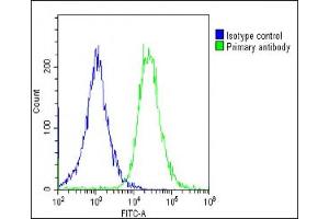 Overlay histogram showing HepG2 cells stained with (ABIN6244292 and ABIN6578679)(green line). (Transferrin antibody  (AA 432-466))