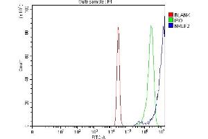 anti-Nuclear Receptor Binding Factor 2 (NRBF2) (AA 1-287) antibody