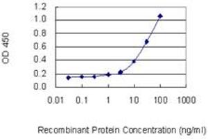 Detection limit for recombinant GST tagged MPO is 0. (Myeloperoxidase antibody  (AA 646-745))